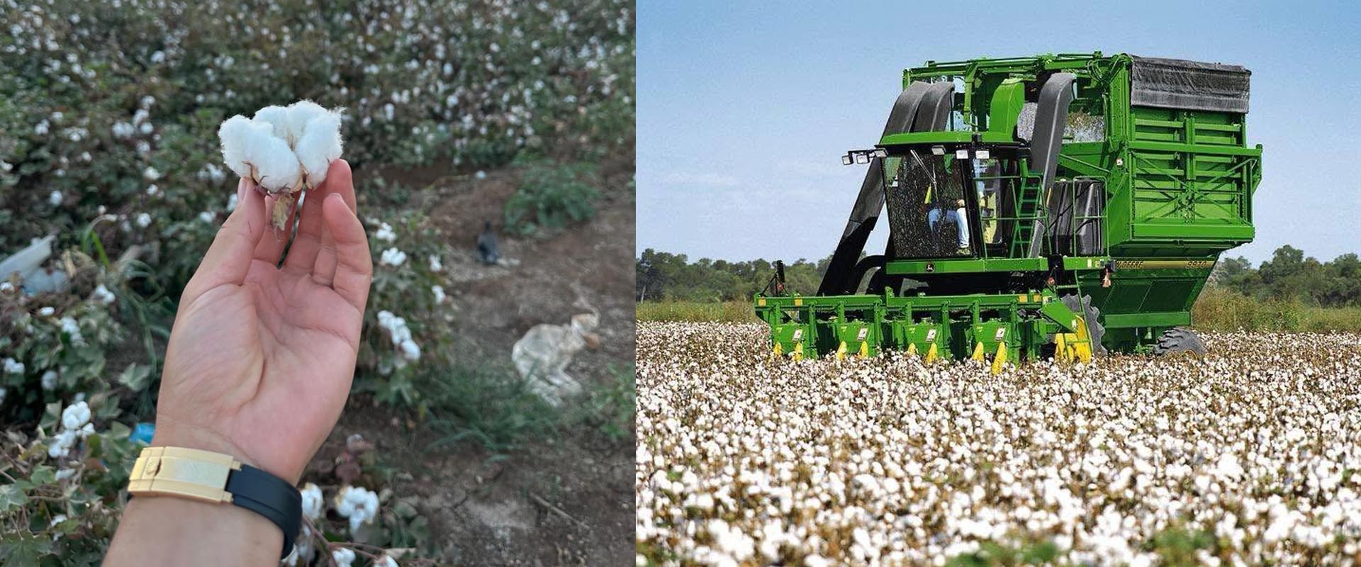 USED COTTON HARVESTING MACHINES